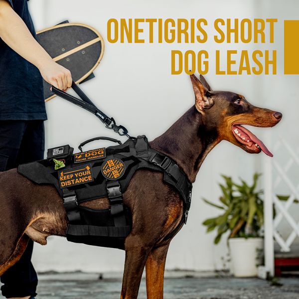 ONETIGRIS BOLT Short Dog Leash