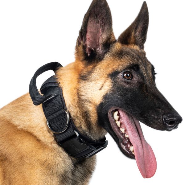 ONETIGRIS Dog Collar 08 Black Medium Gear Australia by G8