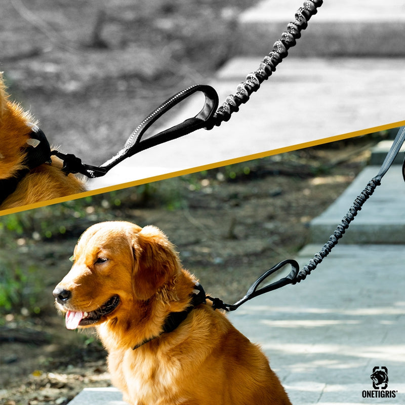 ONETIGRIS Dog Leash 22 - Black Gear Australia by G8