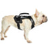 ONETIGRIS X ARMOR MINI Dog Harness 2X Small Gear Australia by G8