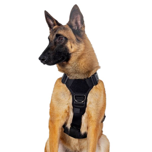 ONETIGRIS GOLIATH Dog Training Harness